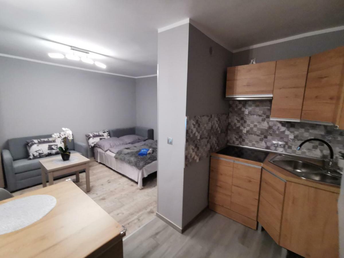 Apartament Gorska 8 - Blisko Centrum Świeradów-Zdrój Buitenkant foto